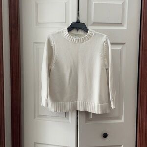 Shiny by Nature sweater